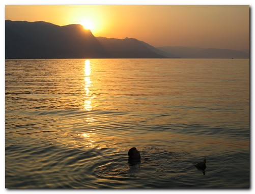 Baden im Sonnenuntergang