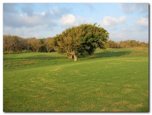 Golfplatz