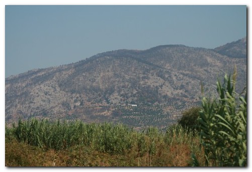 Abgebrannte Berge