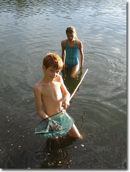 Die Kinder gehen am See baden