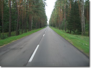 Schnurgerade Straße durch den Wald