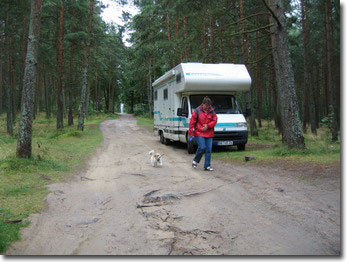 Parken im Wald