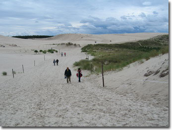 Der Weg über die Düne endet am Meer