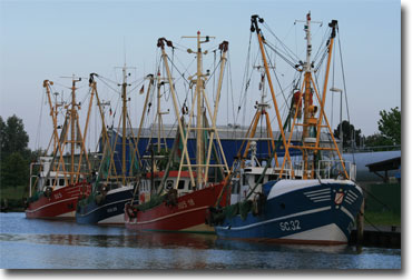 Fischfangflotte von Husum